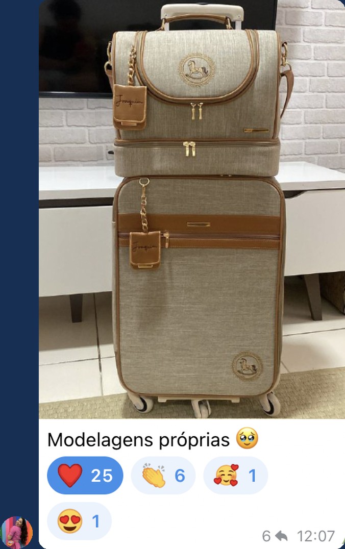 Print da mensagem de uma aluna no grupo da Comunidade Artesã Power: mala e frasqueira com a legenda Modelagens próprias, 25 corações